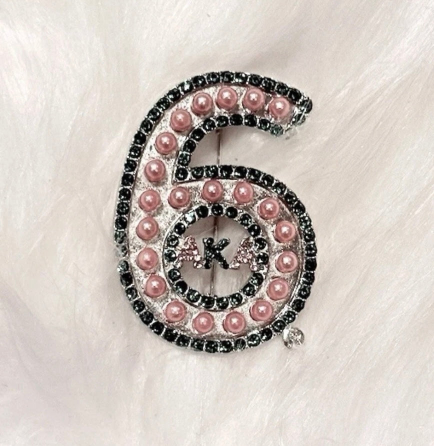 AKA, Alpha Kappa Alpha, Line Number “6” With Letters w/ Pouch