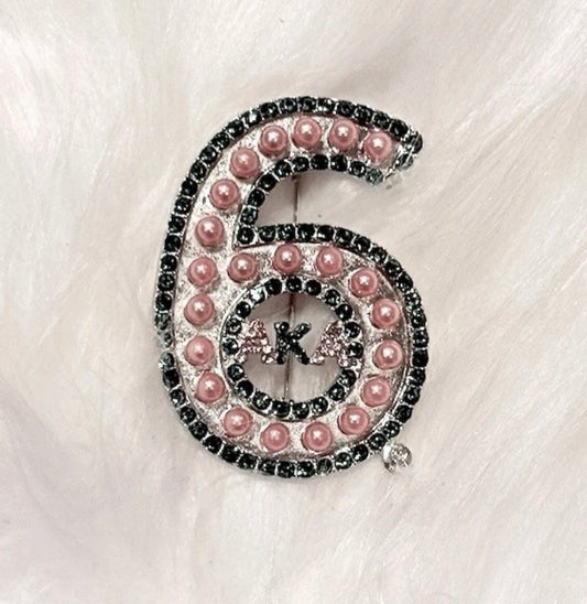 AKA, Alpha Kappa Alpha, Line Number “6” With Letters w/ Pouch